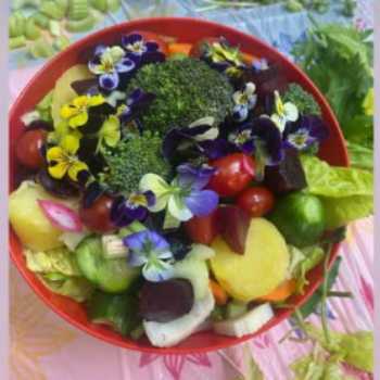 جشنواره ی گیاهان خوراکی